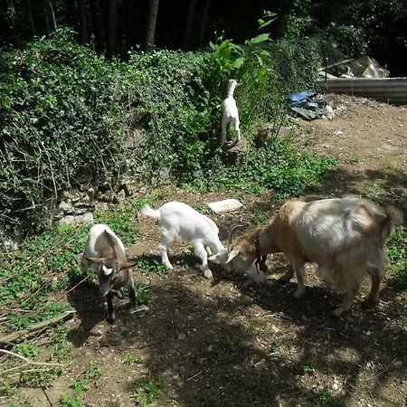 Villa Firefly La Foce