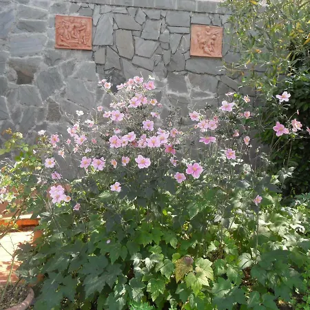 Villa Firefly *